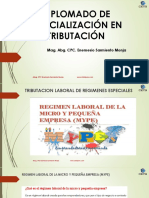 Regimenes Laborales Especiales - Clases20062020