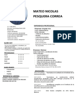 Curriculum Mateo Pesquera