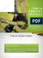 Poda en Árboles Frutales