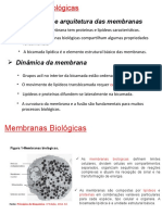 Membranas Biologicas