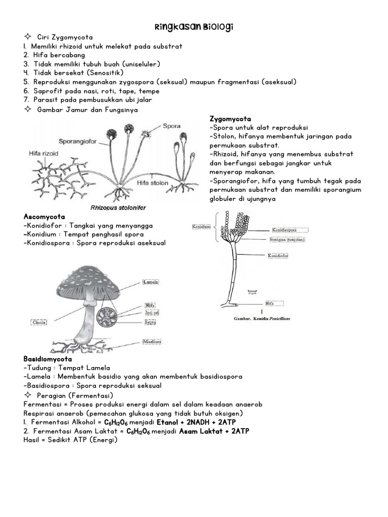 Ringkasan Biologi | PDF