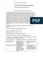 Sistema Nervioso Autonomo y Organos de