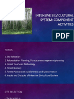 Topic 6 - Intensive Silvicultural System