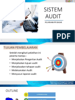 Sistem Audit Ppi PHC Unit