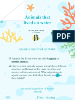 Animals That Lived On Water