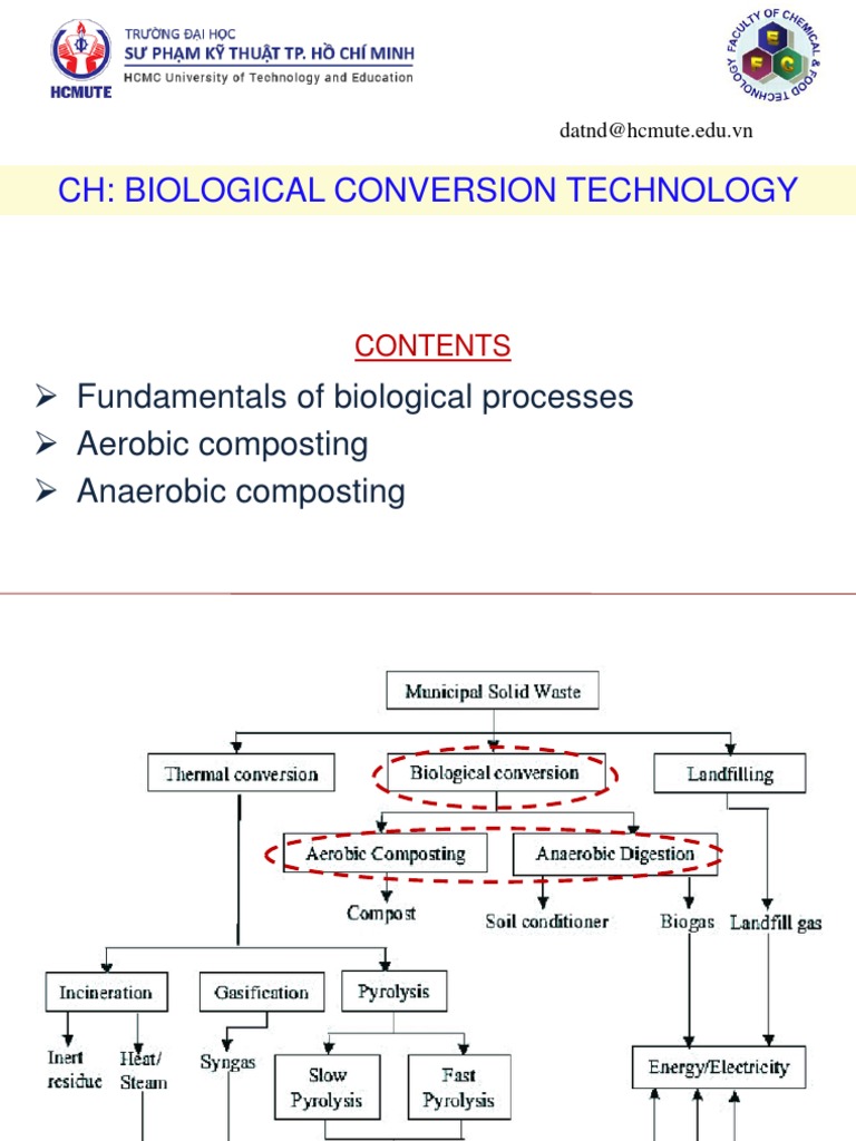 Anaerobic Conversion