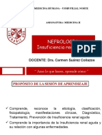 Nefrologia. Insuficiencia Renal Aguda.