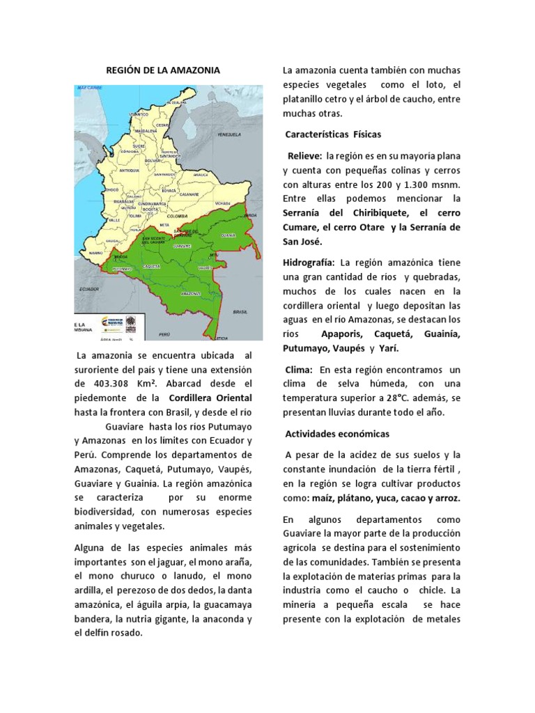 Características de la Amazonia Colombiana | PDF | Selva amazónica