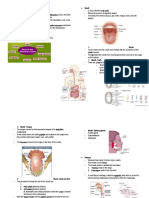 Digestive System Respiratory System Cardiovascular System