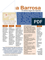 Chica Barrosa - Infográfico