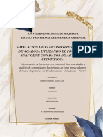 Simulacion de Electroforesis en Gel de Agarosa Utlizando El Programa Snap Gene Con Datos de Articulo Cientifico