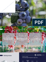 5 - Presentacion - Fruit Inspection EN