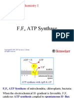 F F ATP Synthase: Molecular Biochemistry I