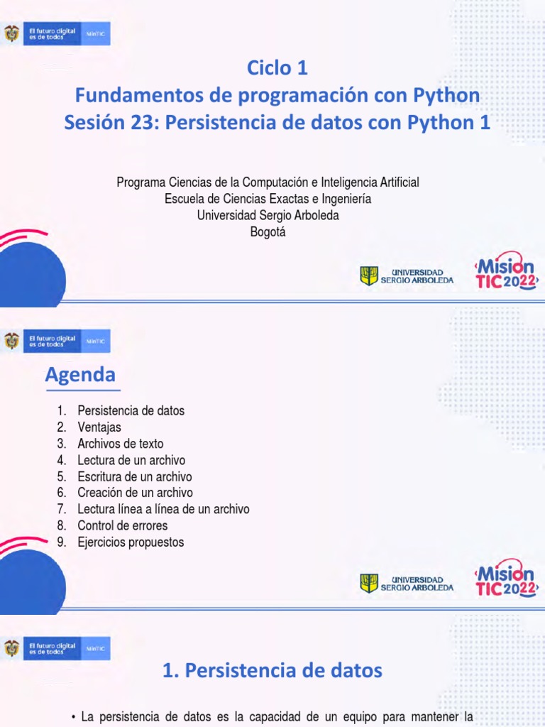 Persistencia de datos en Python | PDF | Archivo de computadora ...