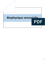 3 - Audition - Biophysique