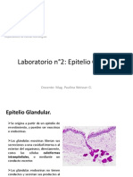 Practico N°3 PPT Glandulas ESTUDIANTES