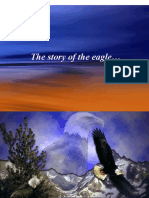 Eagle Rebirth (A story)