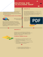 Grupos de Aplicación NIIF