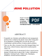 Marine Pollution: Project Associates