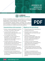 Labsag Simservhospitales FT