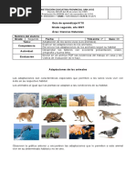 Taller Multimodal # 10 - Ciencias Naturales - Segundo