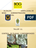 Taller 11.control de Plagas y Enfermedades