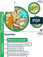 Enzymes in Food Industry - Food Technology