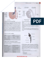 Anatomia Prometheus 13