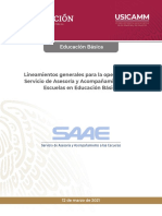 Lineamiento Generales SAAE EB 2021