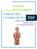 Cuerpo Humano