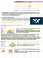 RESUMEN SEGUNDO PARCIALicb2 FQ