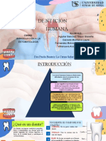 Introducción a la Odontología: Dentición Decidua