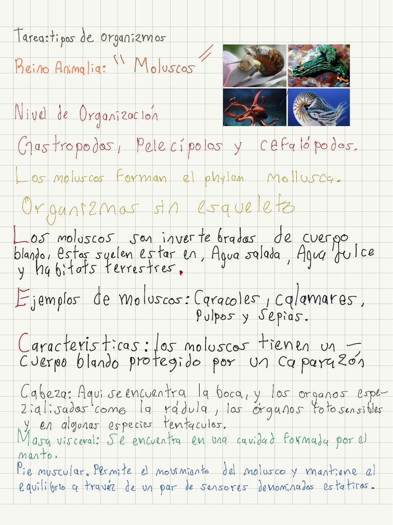 Biología | PDF