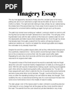 Imagery Essay