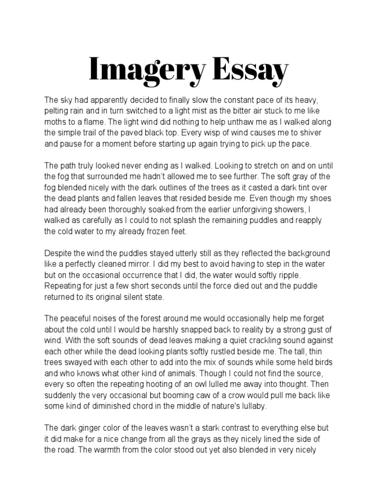 essay of use of imagery