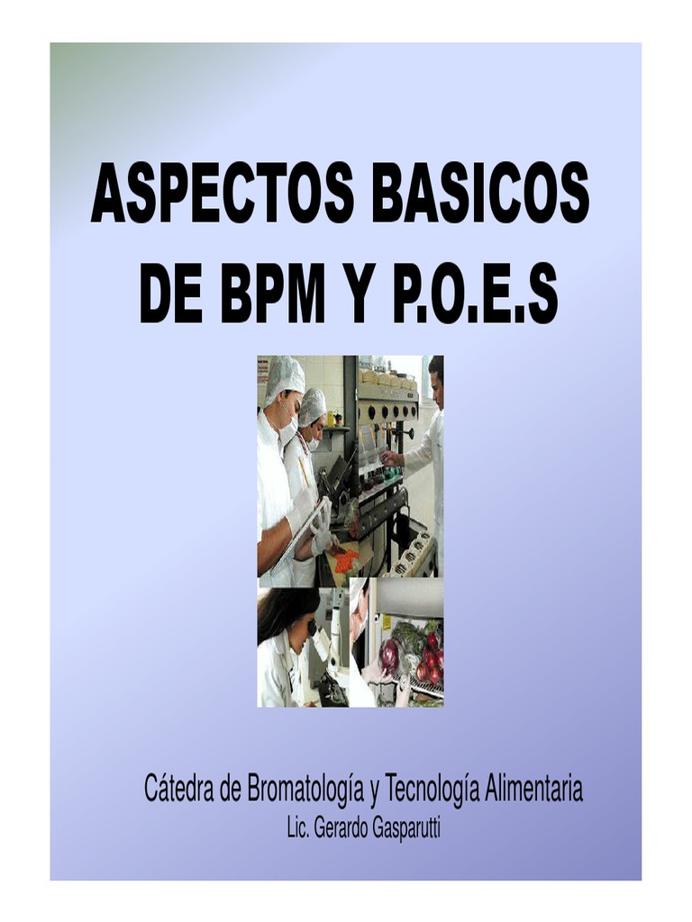 BPM y POES en la Industria Alimentaria | PDF | Alimentos | Comida y bebida