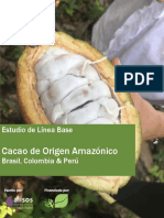 TFA Primer Borrador - Cacao de Origen Amazónico