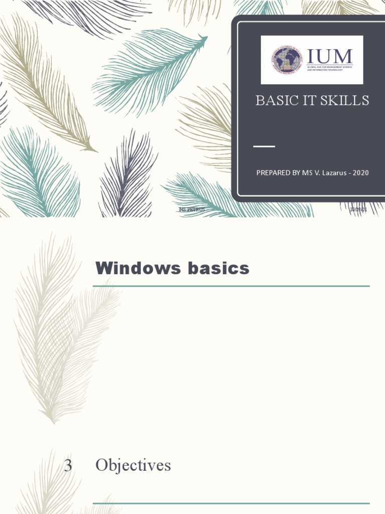 Essential Windows 7 IT Skills Guide | PDF | Window (Computing) | Software