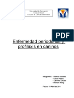 Enfermedad Periodontal y Profilaxis