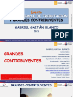 3. GRANDES CONTRIBUYENTES - G&G 2021