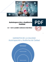 I - Autoinspeccion - Auditorias CLASE 291020