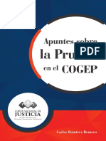 La Prueba en El COGEP