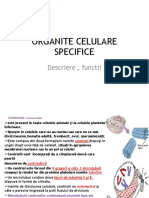 Organite Celulare Specifice