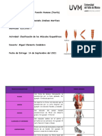 Clasificacion de Los Musculos Esqueleticos