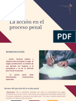 La Acción en El Proceso Penal