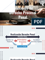 Principios de Derecho Procesal Penal