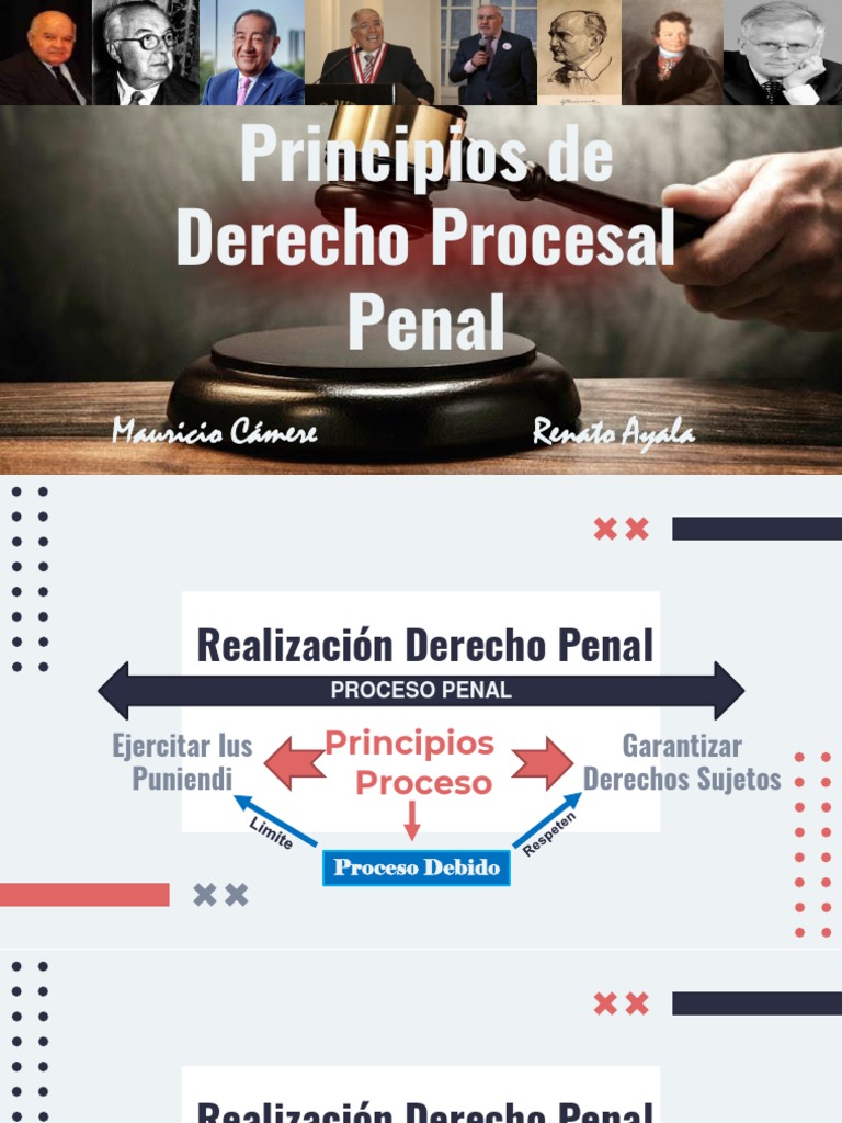 Principios del Derecho Procesal Penal | PDF | Debido al proceso | Ley ...