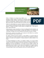 Economía de La Explotación Forestal en Una Sociedad en Desarrollo