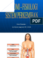 Sistem Perkemihan