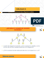 SEMANA - 2 - 2 - Diferencial Total y Regla de La Cadena